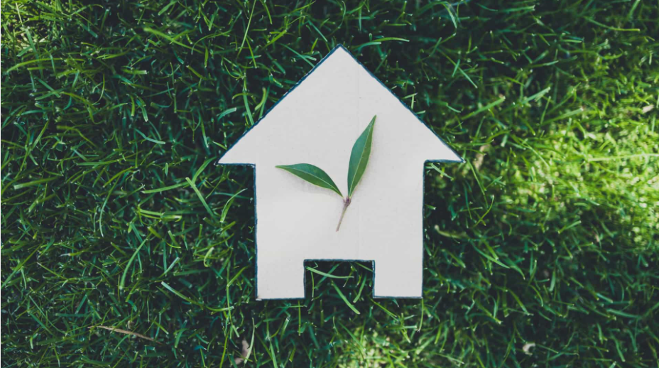 Cinco aspetos a considerar para ter uma ‘casa verde’