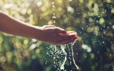 Como poupar água: 14 dicas para aplicar todos os dias