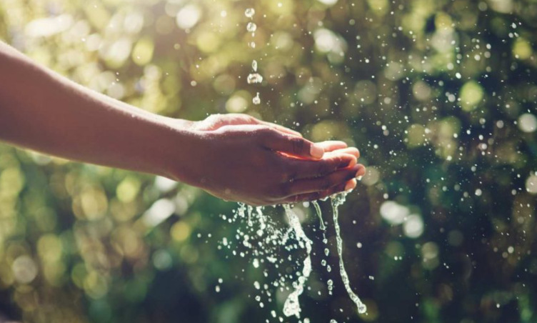 Como poupar água: 14 dicas para aplicar todos os dias